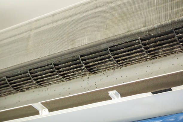 Best Ductwork Cleaning Services  in Highlands, NJ